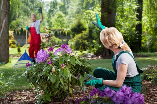 Landscape gardeners designing a Cricklewood backyard