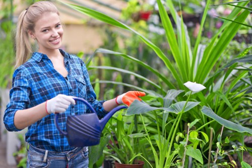 Image representing cookies used on the Landscapers Cricklewood website