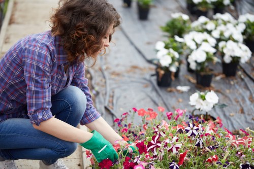 Landscapers Cricklewood working on a landscaped garden design