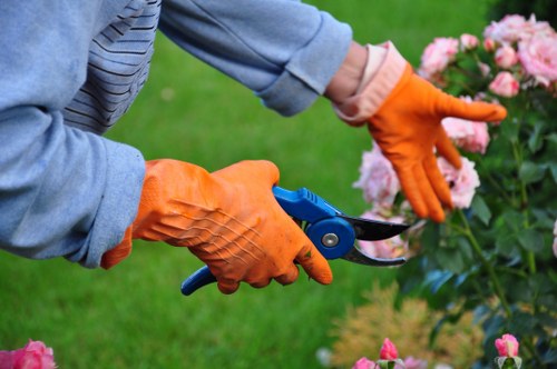 Clearing branches and green waste during a Cricklewood garden tidy-up