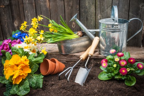 Cricklewood garden lawn showing seasonal maintenance and weed control