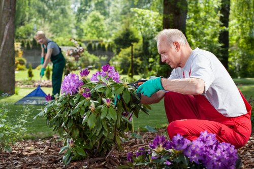 Landscapers Cricklewood commitment to ethical and transparent operations