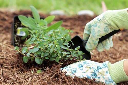 Carefully arranged shrubs and flowers in a Cricklewood planting project