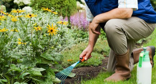 A well-kept Cricklewood outdoor space with healthy grass and shrubs
