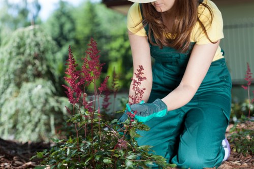 Image showing cookie categories for a landscaping website