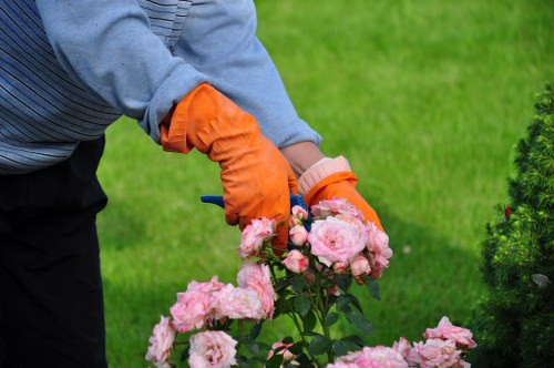 Cricklewood landscapers receiving safety training before a garden clearance task