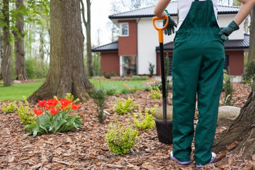 Professional landscaping features in a Cricklewood outdoor space