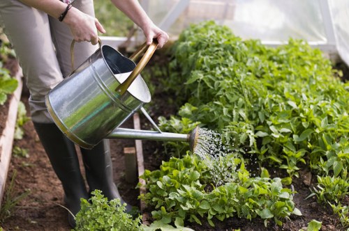 Stylish backyard landscaping in Cricklewood featuring patio and greenery