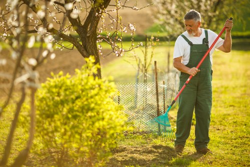 Healthy, well-cut hedge showing expert garden maintenance