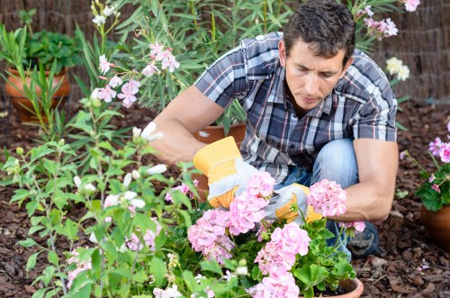 Low-maintenance garden renovation features in Cricklewood