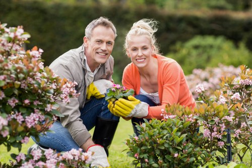 Garden maintenance in Cricklewood improving kerb appeal and plant health